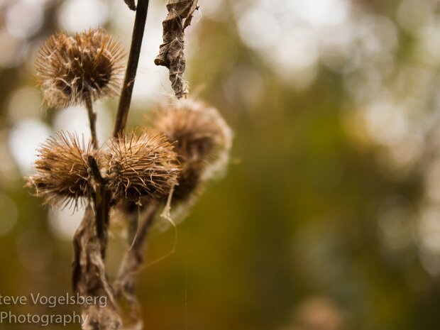 Big Foot State Park October 2015