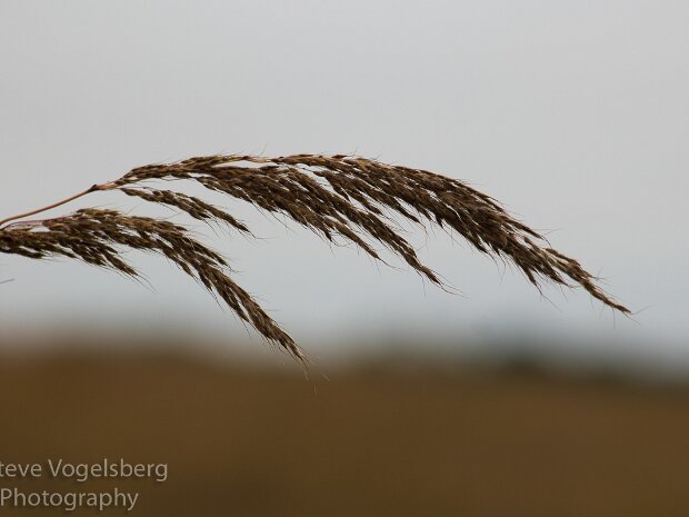 Boone Creek October 2015