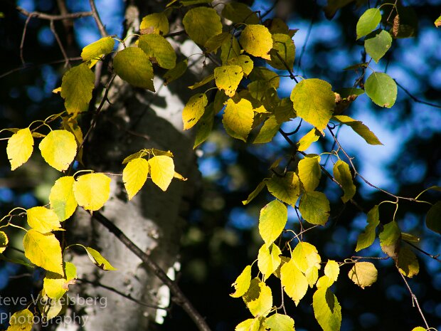 Eagle River September 2015