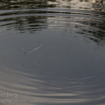 IMG_1651