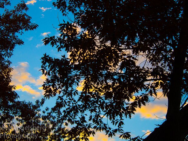 Fel Pro October 2013