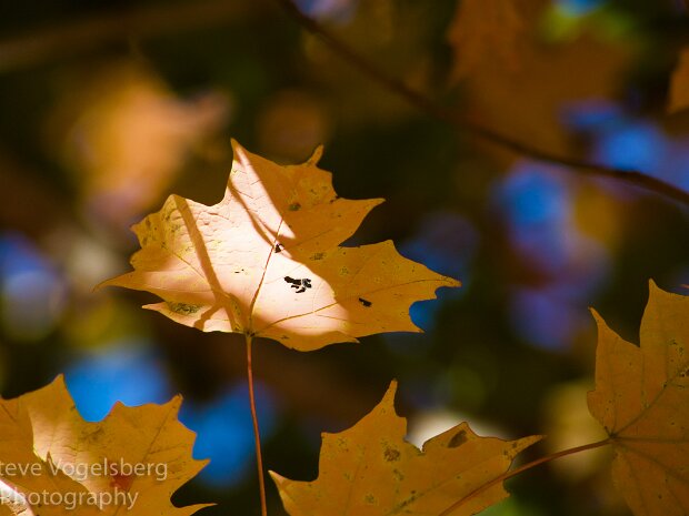 Matthiessen State Park October 2015