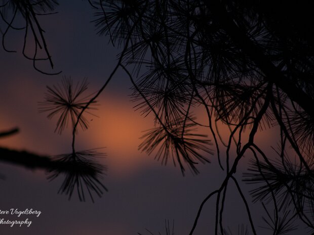 Michigan Miscellaneous