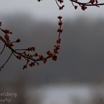 IMG_0451