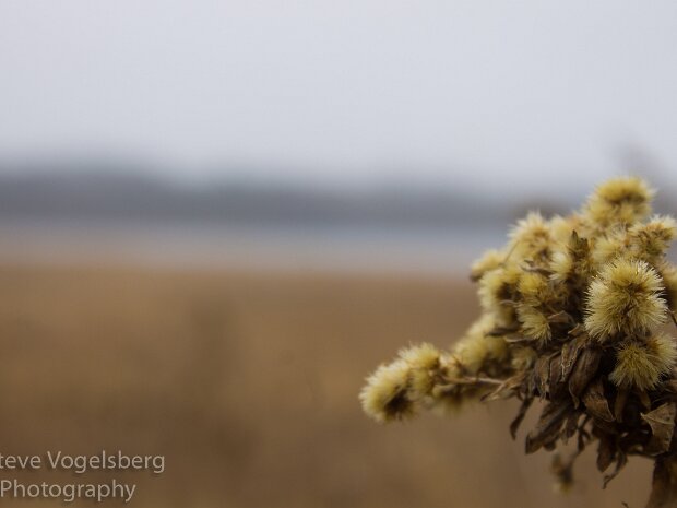 Moraine Hills Early 2015