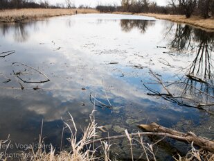 Silver Creek February 2016